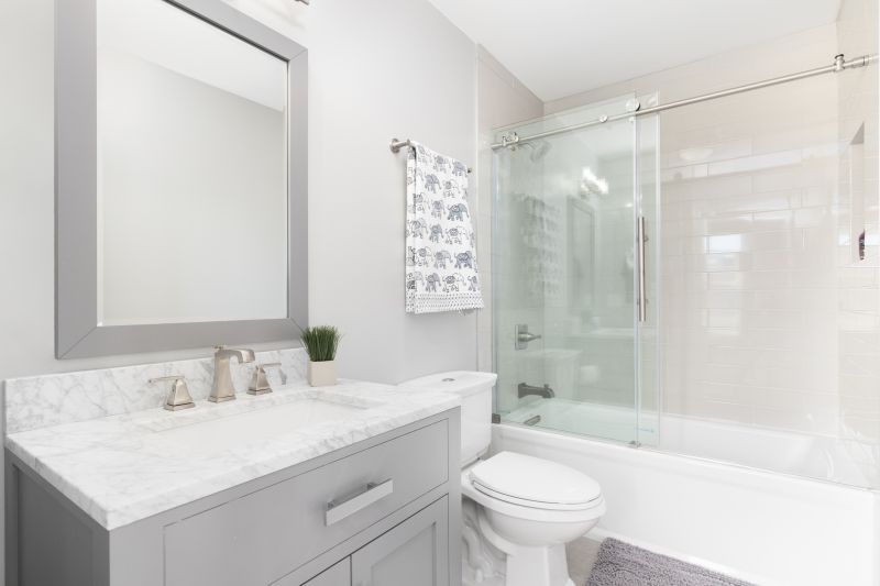 Top Tub To Shower Conversion Companies in Sonoma, CA