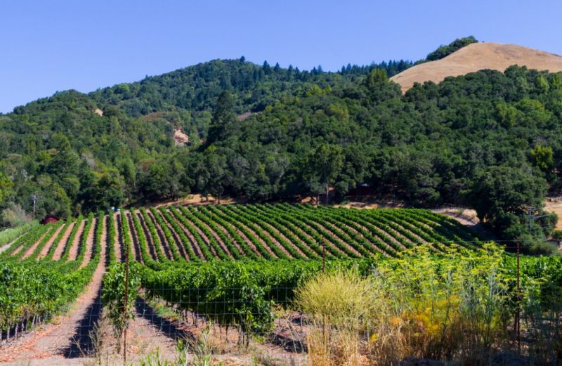 Best Shower Remodeling pros in Sonoma, CA